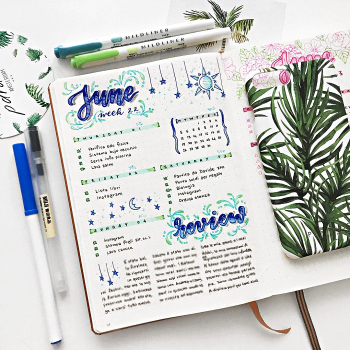 mise en page du calendrier hebdomadaire, une double page du calendrier mensuel pour juin décorée de petits dessins végétaux