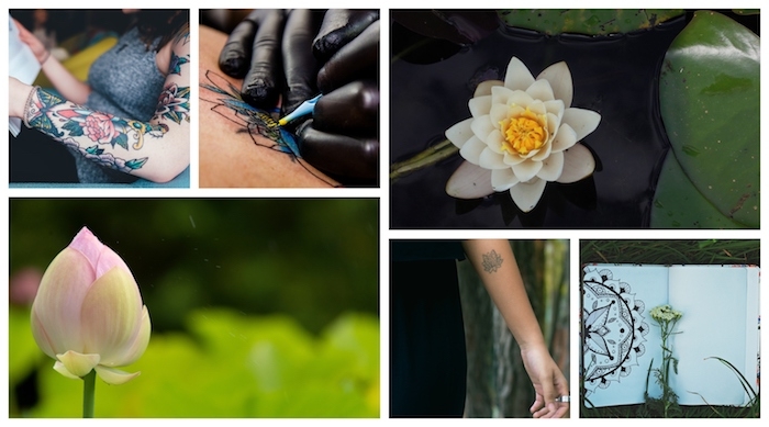 Belle idée comment se tatouer, image tatouage thailandais, signification fleur de lotus, photos de lotus fleurie et fermé