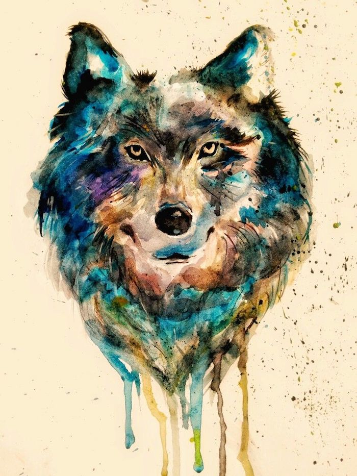 loup dessin couleur peinture aquarelle, couleurs de peinture diluées, exemple dessin de tête de loup simple aux couleurs variées
