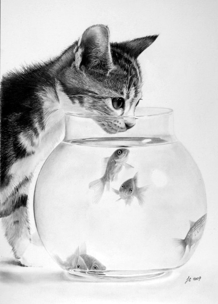 Dessiner un chat réaliste, dessin chat et bocal avec poisson doré, inspiration dessin animal, dessin réaliste art photoréalisme