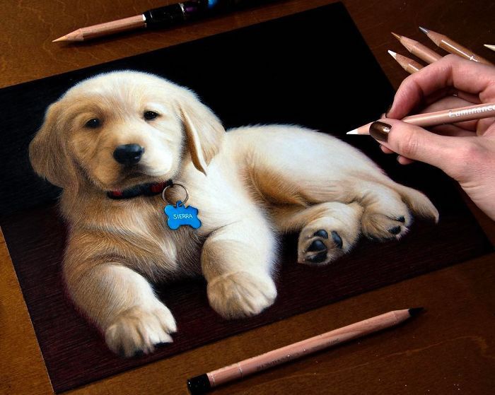 Comment dessiner un chien mignon, idée dessin sur papier noir avec crayons claires, dessin réaliste à faire, dessin photoréalisme