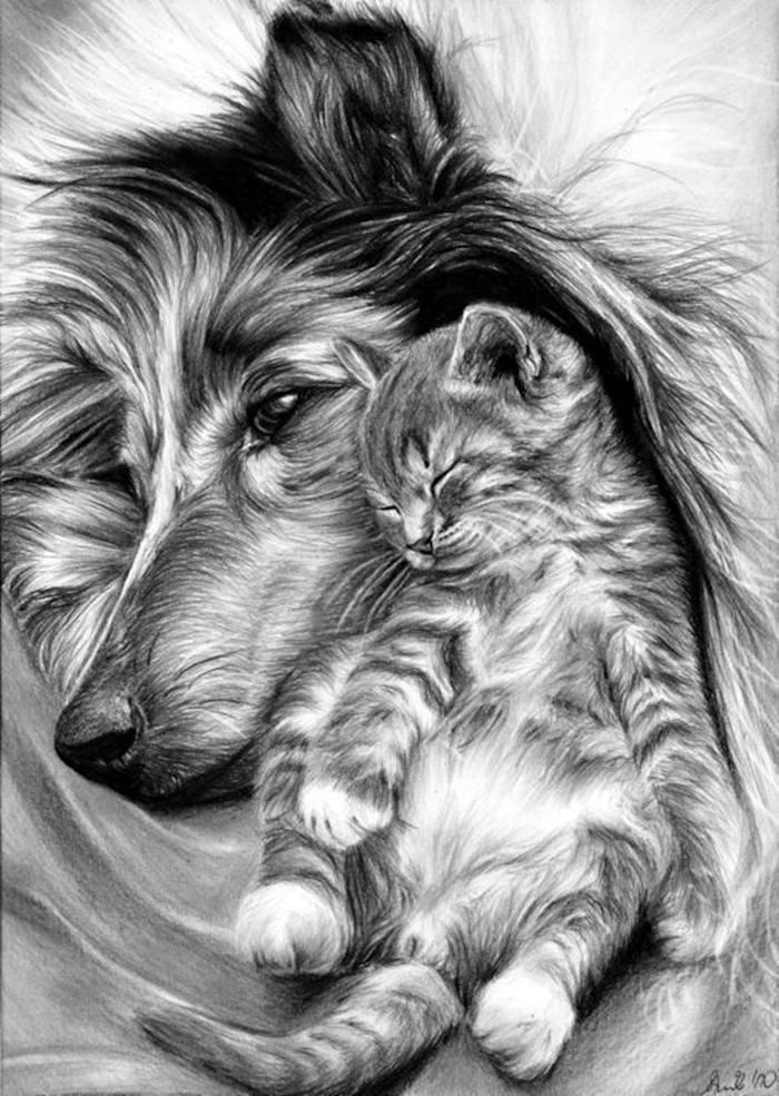 Dessin Chien Realiste Facile