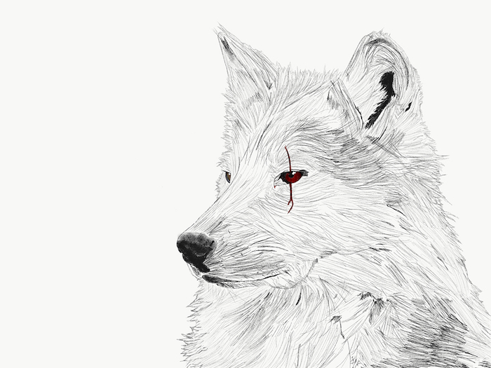 loup atrice symbole de la guerre et la férocité, dessiner un dessin graphique avec touche de rouge dans les yeux et une marque trait rouge