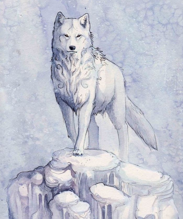 portrait de loup polaire en blanc sur un rocher glacier et fond bleu et blanc, dessin facile a dessiner
