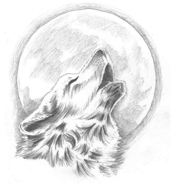 dessin graphique simple avec loup qui hurle au clair de lune, comment dessiner au crayon facilement
