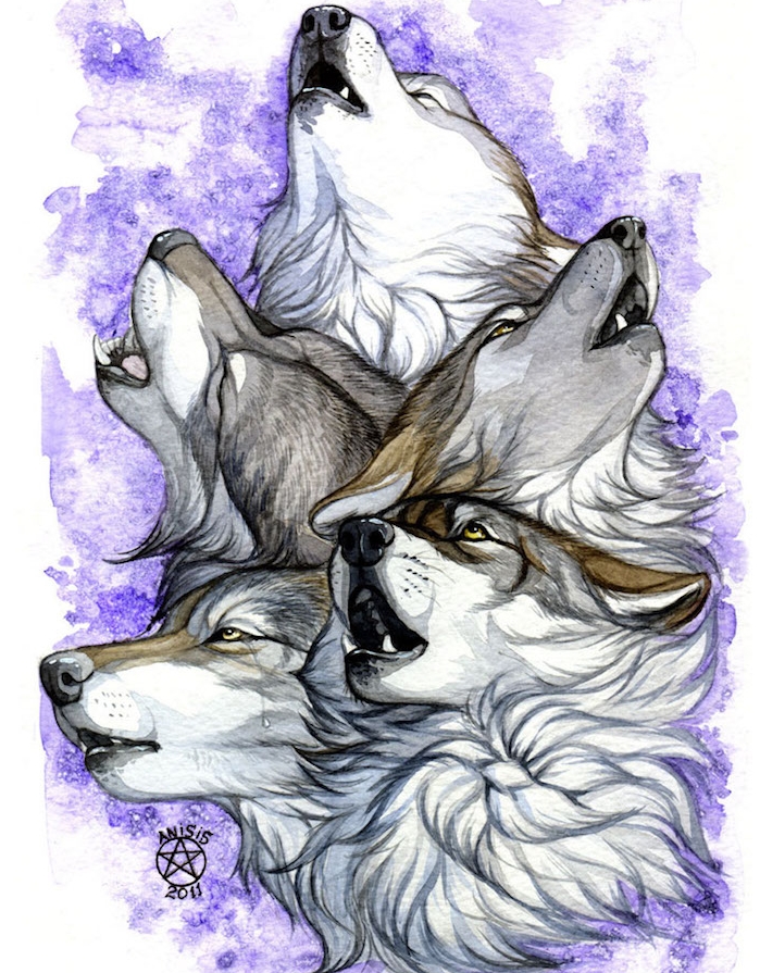 dessin de plusieurs tetes de loups qui hurlent sur un fond aquarelle en violet