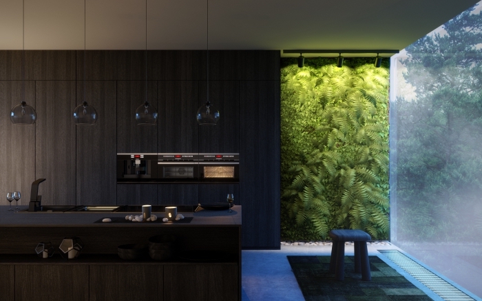décoration cuisine moderne avec plan de travail noir, design intérieur contemporain dans une cuisine foncée