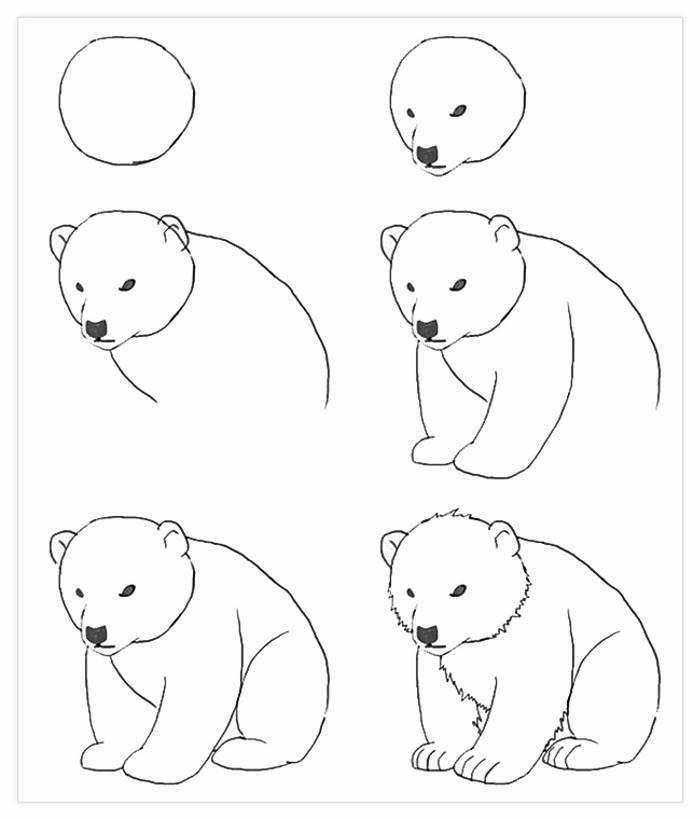 Ourse mecontente, photo de dessin facile, comment décalquer une image pas a pas dessin d'ourson 