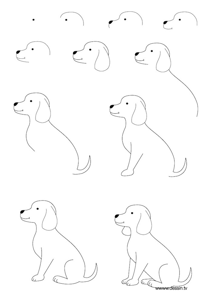 Comment dessiner un chien mignon, modèle de dessin, idée image dessin technique perspective