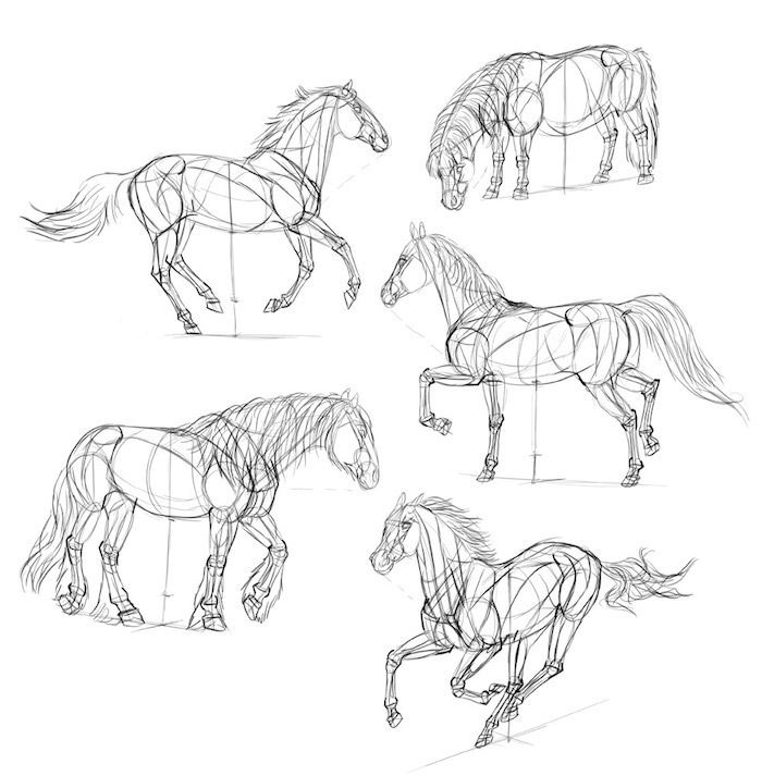 Cheval réaliste, comment capturer les actions, comment décalquer un dessin tuto de belle image cheval