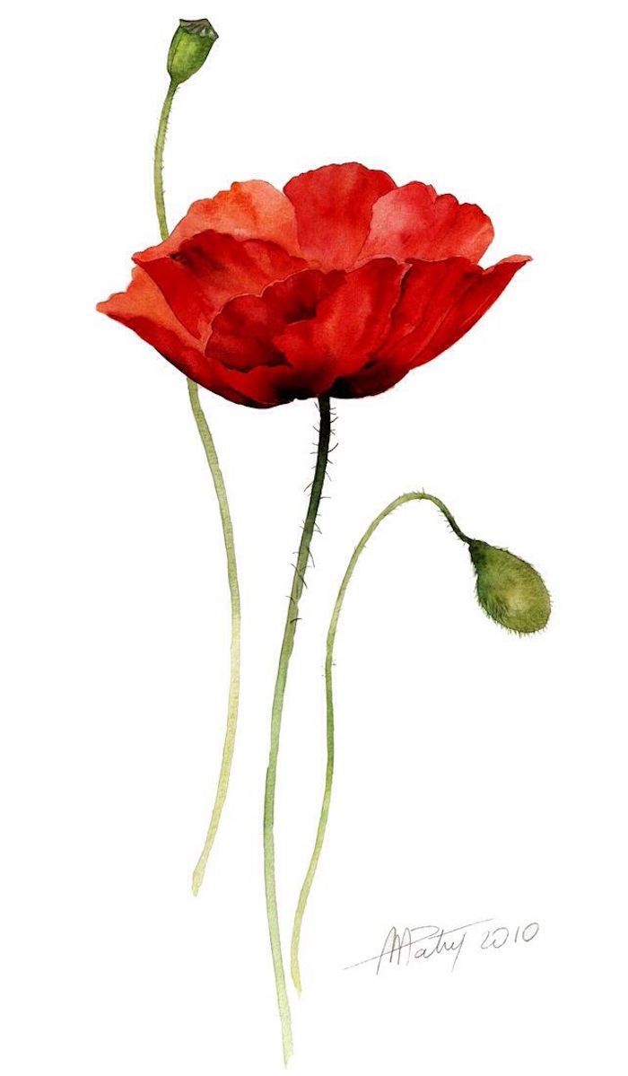 Pivot rouge champetre dessin de fleur rouge à l'aquarelle, été images et video apprendre a dessiner, cool idée de dessin