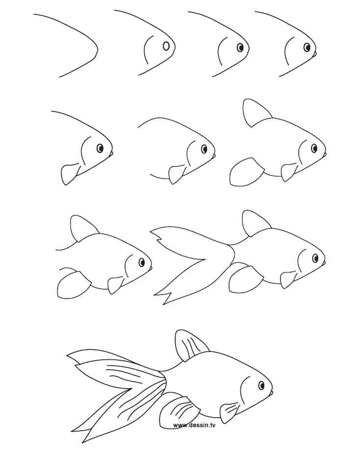 Dessin pour enfant ou pour débutant, comment dessiner une poisson, étape par étape, images et video apprendre a dessiner, cool idée de dessin