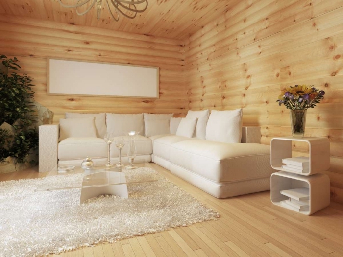 idée comment habiller un mur, modèle de salon rustique avec ambiance cozy aux meubles et accessoires en blanc