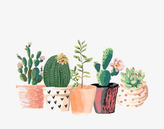 Plantes vertes dessin hippie chic, dessins à reproduire, idée comment dessiner des dessin cactus