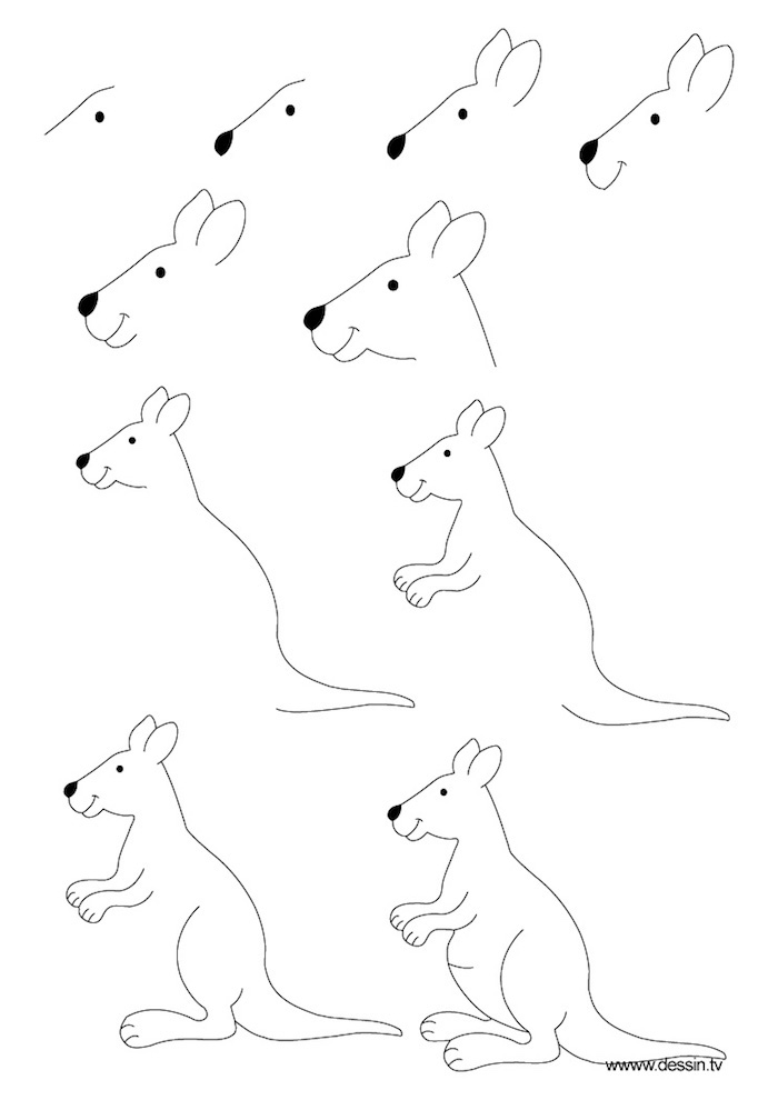 Apprendre à dessiner un kangourou, dessin simple à reproduire, comment dessiner des dessin