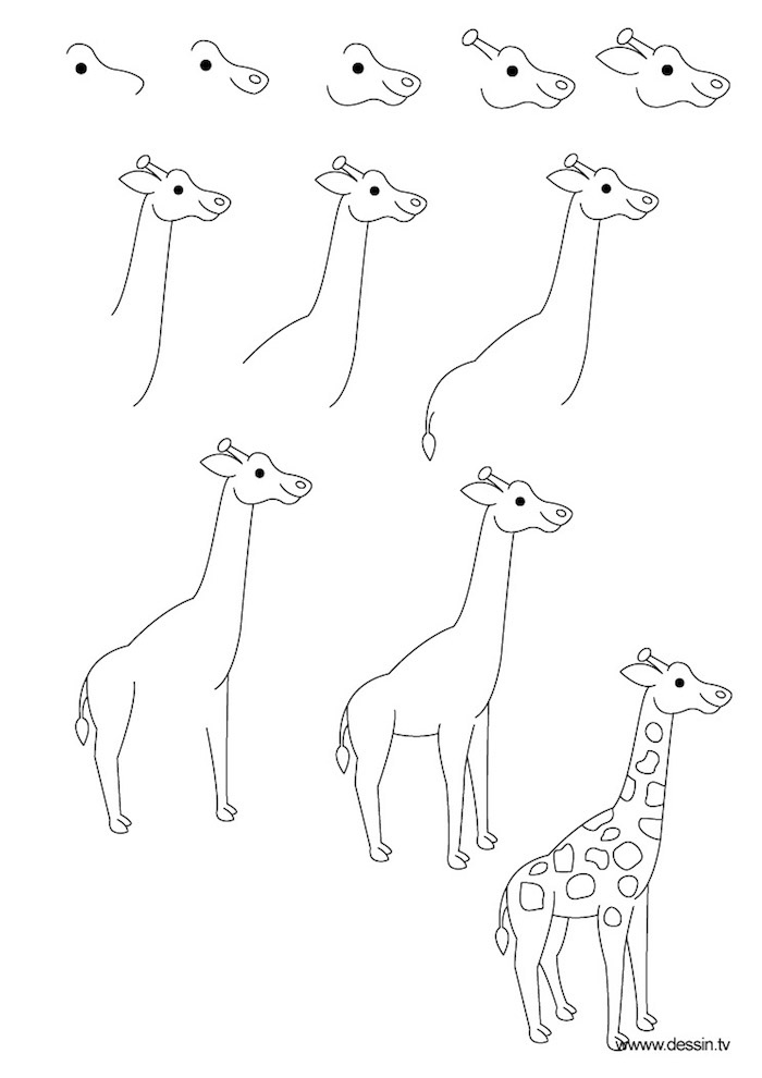 Girafe dessins a reproduire facilement, apprentissage dessin simple pour débutants 