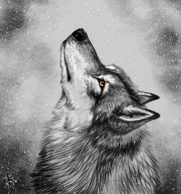 paysage enneigé et un portrait de loup réaliste aux contours noir et blanc et des yeux marron clair