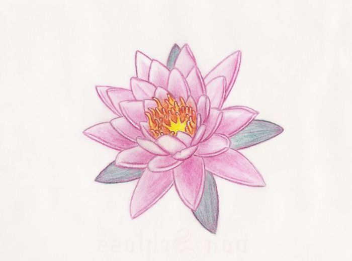 Le Tatouage Fleur De Lotus Symbolisme Et Images Qui Le