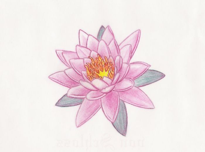 Rose lotus sacré asiatique fleur belle, exotique fleur de lotus tatouage, idée comment se tatouer