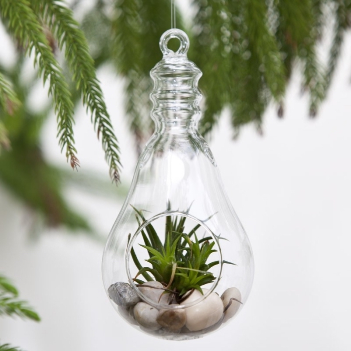 faire une suspension avec plantes, modèle de récipient ampoule en verre rempli de pierres avec plante verte