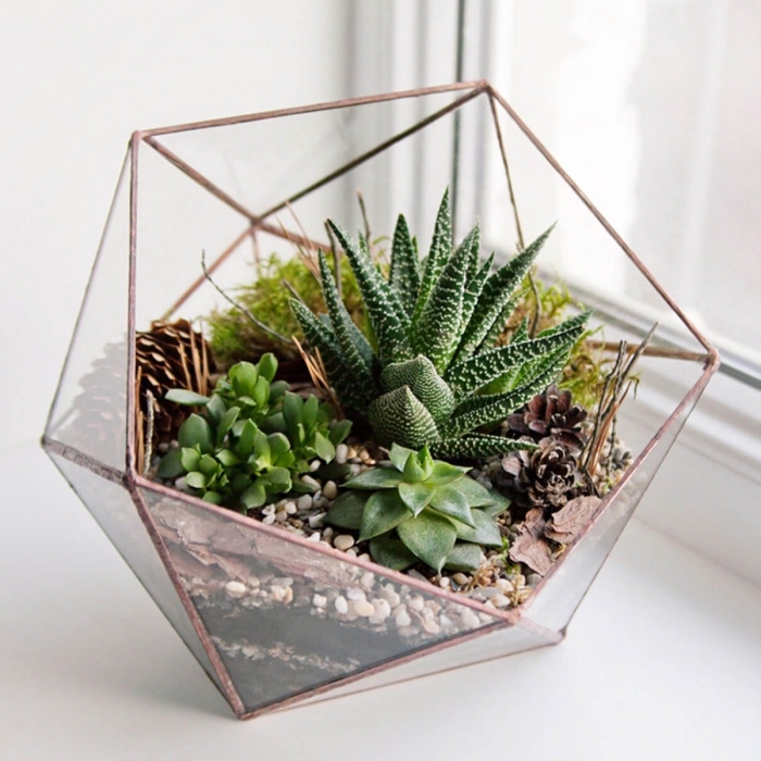 mini terrarium dans un récipient forme géométrique en verre, avec quoi remplir un terrarium fait maison de type ouvert