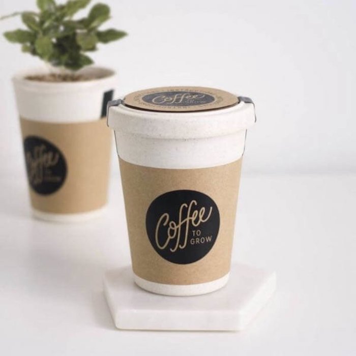 Café à planter dans une tasse qui ressemble à gobelet de café à emprunter, idée de cadeau pour couple, simple idée pour cadeau 