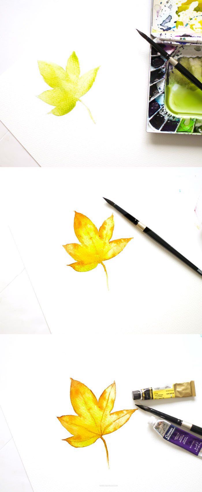 Apprendre à dessiner une feuille d'arbre automnal aquarelle, dessin feuille d'arbre, feuille d'automne dessin simple
