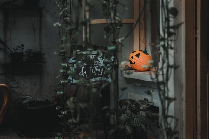 décoration-citrouille-halloween-extérieur-jardin-étagère-plantes-vertes-photo-citrouille-wallpaper-ordinateur-fête-halloween image halloween, diy décoration fenêtre pour la fête de Halloween avec lanterne citrouille Halloween en papier