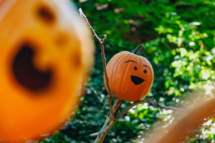 décoration-jardin-avec-citrouille-halloween-sculpture-diy-activité-manuelle-amusante-pour-fête-halloween-2019-octobre diy déco à faire soi même pour halloween, modèle de citrouille sculptée pour halloween, déco jardin avec citrouille