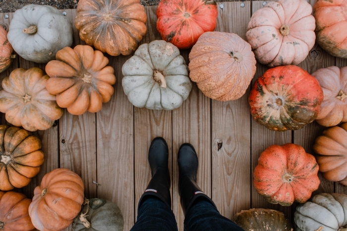 déguisement-femme-sourcière-pour-halloween-bottes-pluie-cuir-noir-décoration-véranda-terrasse-bois-avec-citrouilles-fond-d-écran-automne paysage d automne pour wallpaper ordinateur, photo véranda en bois avec citrouilles différentes sortes et bottines fille