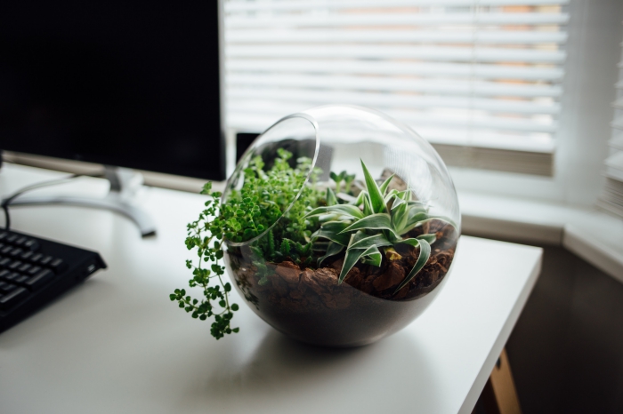 exemple comment aménager son bureau moderne, objet déco DIY, modèle de terrarium verre avec petites plantes