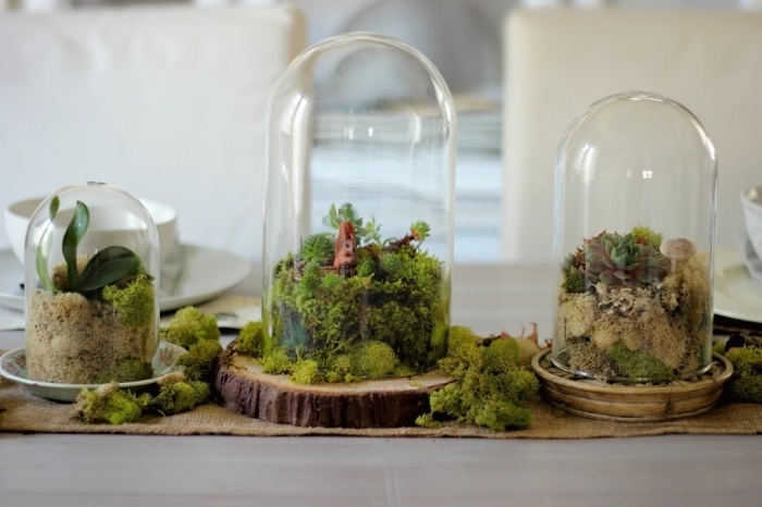 idée plante en bocal fermé, modèles de terrariums en bocal verre, décoration de table avec objets fait main faciles