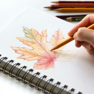 Dessin d'automne - trouver de l'inspiration pour créer un beau dessin