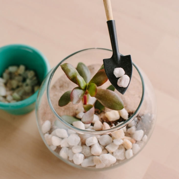 comment fabriquer un terrarium facile, modèle de terrarium dans un aquarium verre rond rempli de sable et cailloux