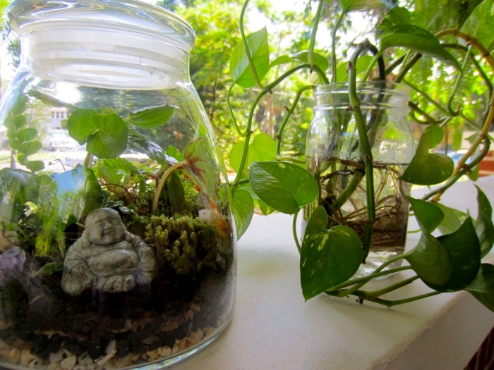 réaliser un mini jardin zen dans un bocal en verre, terrarium bocal DIY, idée terrarium plante bocal avec figurine zen