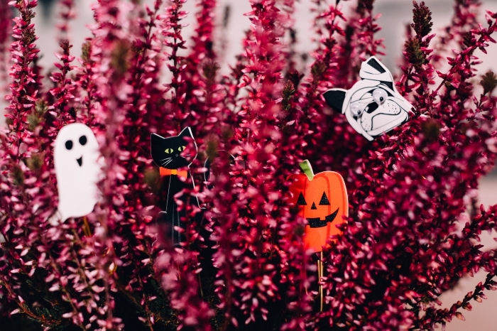 diy décoration pour la fête de halloween avec fleurs et signets symboles de Halloween, idée fond d'ecran halloween pour PC 
