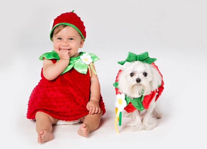 Adorable bébé fille en costume de fraise et son chien déguisé comme fraise, deguisement halloween fille, deguisement enfant original