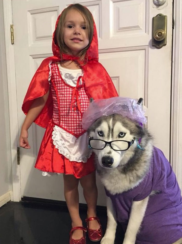 Le petit chaperon rouge et son chien comme le loup, déguisement fille et chien, idée comment deguiser son enfant
