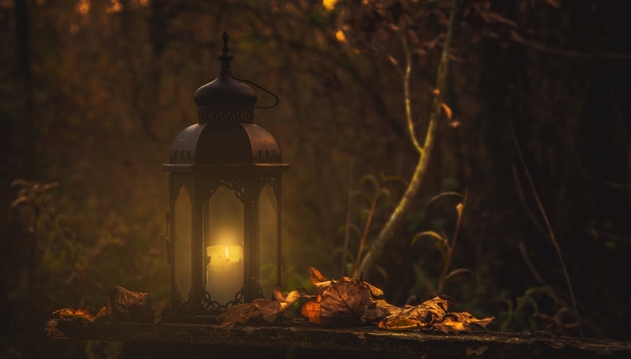 image-halloween-effrayante-nuit-fête-de-halloween-célébration-lanterne-bougie-feuilles-séchées-forêt-paysage-effrayant fond d écran horreur, paysage nocturne dans une forêt hantée aux arbres séchées avec lumière de lanterne allumée