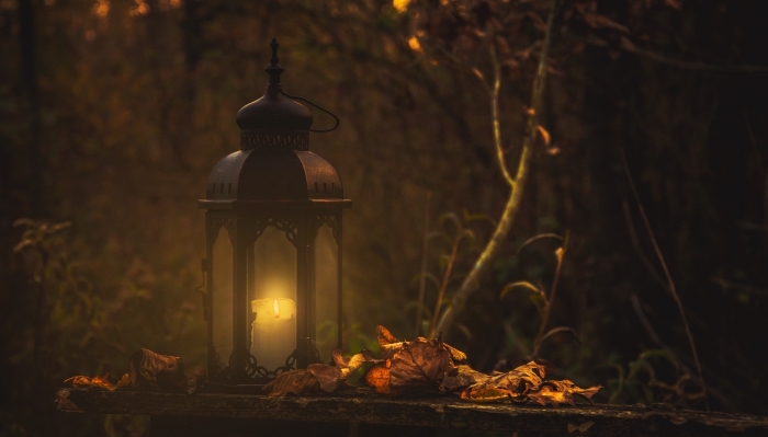fond d écran horreur, paysage nocturne dans une forêt hantée aux arbres séchées avec lumière de lanterne allumée