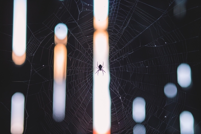 macrophotographie-wallpaper-pour-ordinateur-image-halloween-lumières-toile-d-araignée-symbole-d-halloween idée fond d écran noir pour ordinateur, photo de toile d'araignée et lumières, wallpaper ordinateur pour halloween