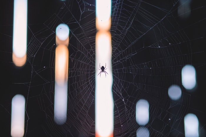 idée fond d écran noir pour ordinateur, photo de toile d'araignée et lumières, wallpaper ordinateur pour halloween