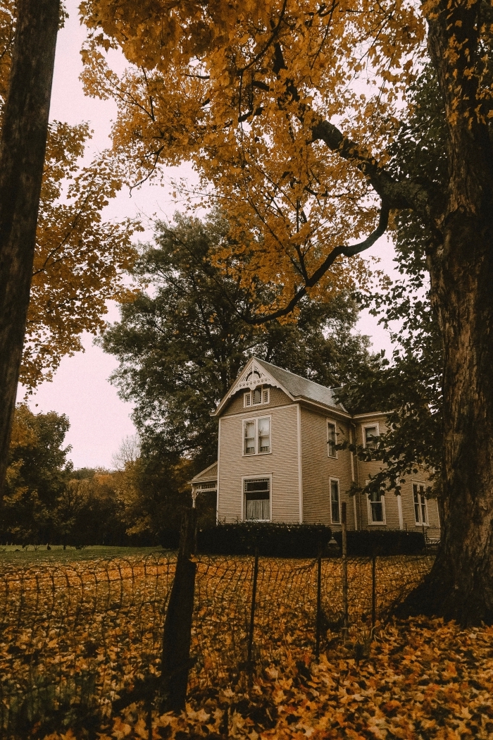 maison-hantée-paysage-d-automne-feuilles-séchées-arbres-nature-photographie-paysage-iphone-halloween-fête fond d écran automne pour verrouillage écran Iphone, photo de maison hantée dans une forêt aux arbres séchées