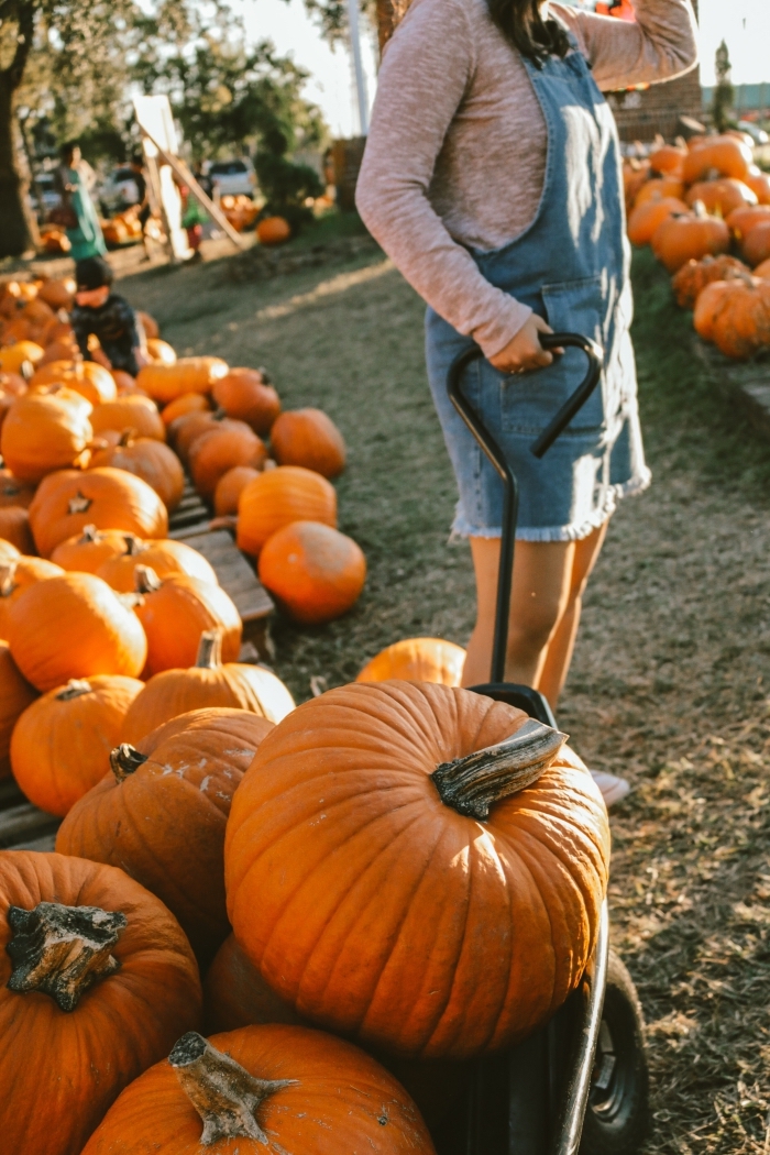 marché-citrouille-halloween-fille-salopette-denim-blouse-grise-décoration-pour-halloween-avec-citrouilles-lumière-soleil idée fond d'écran portable automne, wallpaper iphone avec fille et citrouilles, idée paysage d automne pour wallpaper