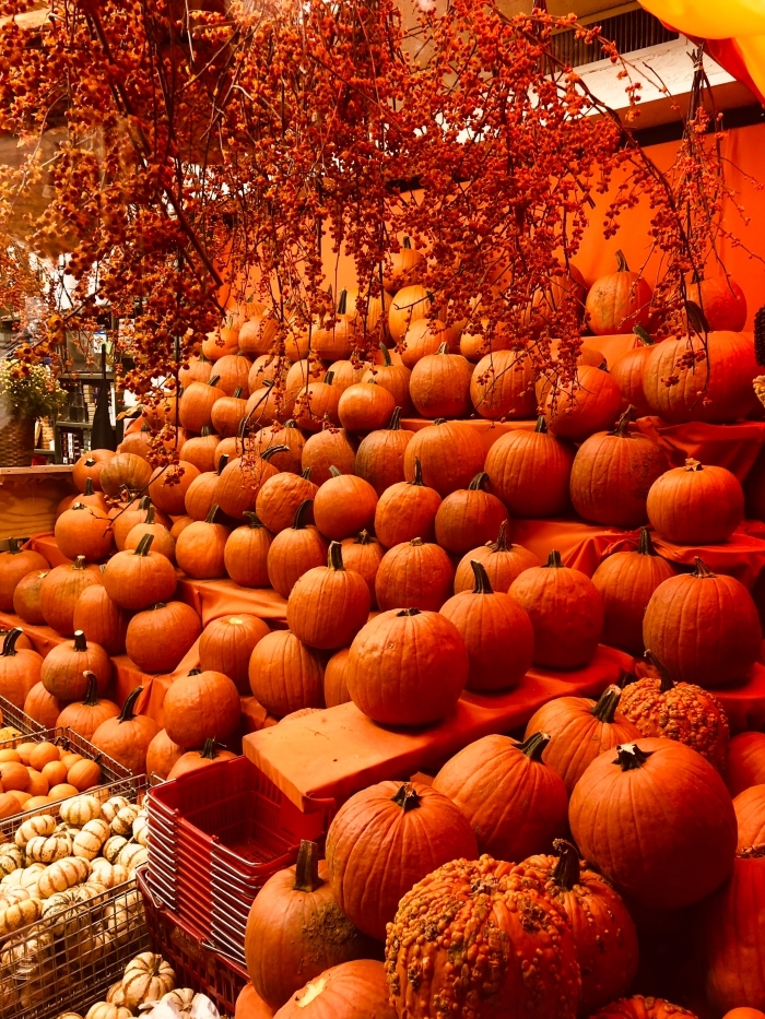 marché-citrouilles-feuilles-séchées-paysage-d-automne-photo-écran-verouillage-portable-pour-halloween-sortes-citrouilles idée fond d écran automne pour iphone, activité manuelle pour halloween avec citrouilles, wallpaper avec citrouilles