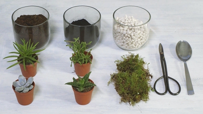 avec quoi remplir un terrarium fait maison, idées plantes à utiliser pour remplir un terrarium, sol et cailloux pour terrarium
