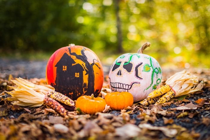 promenade-forêt-nature-lumière-soleil-arbres-feuilles-séchées-épis-de-blé-décoration-citrouille-halloween-crâne-maison-hantée diy décoration de citrouille pour halloween, activité manuelle facile halloween, citrouille décorée halloween avec dessins horreur