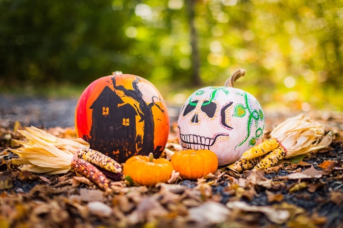 diy décoration de citrouille pour halloween, activité manuelle facile halloween, citrouille décorée halloween avec dessins horreur