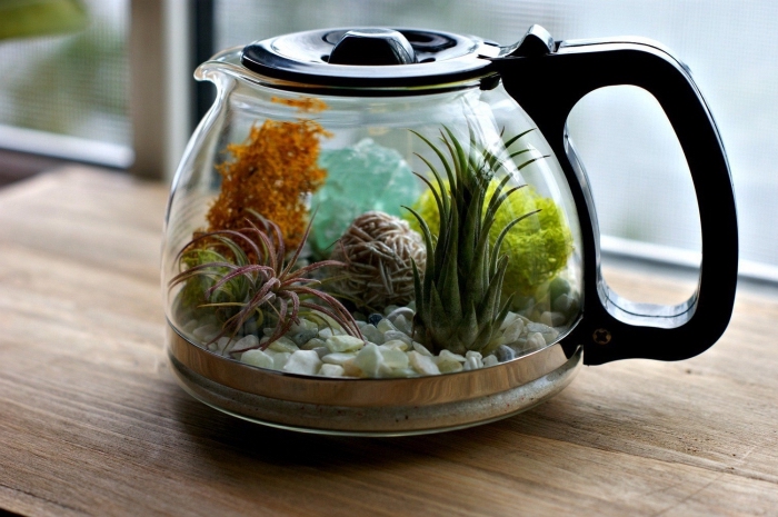 loisir créatif facile, faire un mini jardin dans verseuse, idée quelles plantes pour un terrarium en verre fermé