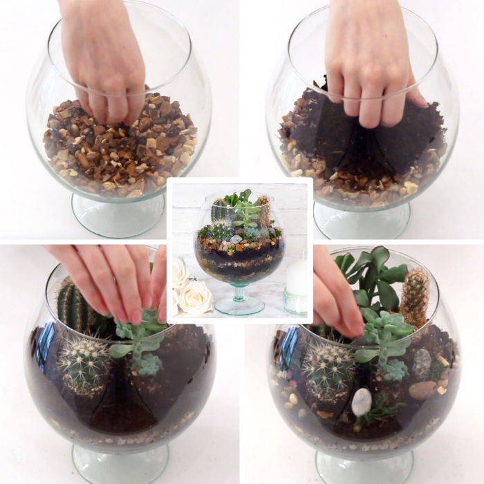 comment réaliser un terrarium cactus, activité manuelle facile avec plantes, idée terrarium cactus dans un contenant verre